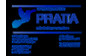 Интерьерный Дом Pratta